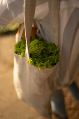 Close up a shopping bag 