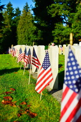 American Flags on Cemetery