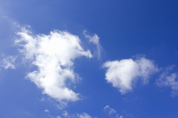 秋空にぽっかり浮いた白い雲