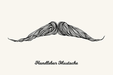 Handlebar mustache. Simple linear Illustration with fashionable men hairstyle. Contour vector background with isolated element for barber shop decor, prints, t-shirts, posters