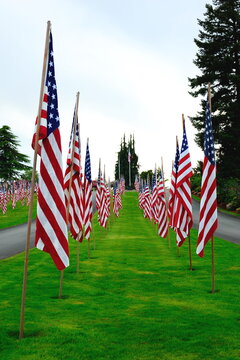 American Flags on Cemetery