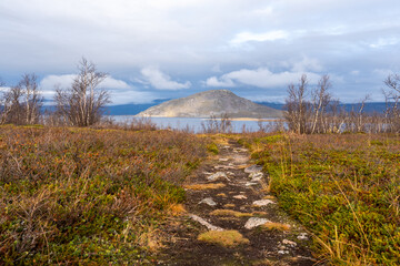 Wanderweg in Schweden Lappland im Abisko Nationalpark