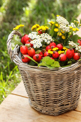 Fototapeta na wymiar Bouquet of autumn plants in wicker basket