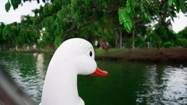 Head of the Swan-boat. Riding on a white swan-boat in the middle of the lake in the Lumphini park, Bangkok. slowmotion 120fps 2