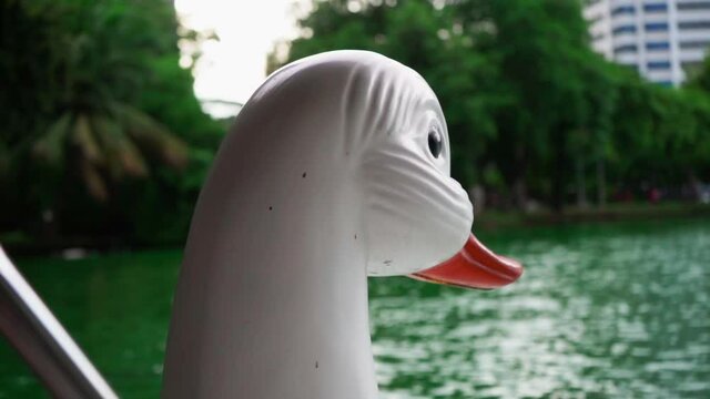 Head of the Swan-boats. Riding on a white swam in the middle of the lake in the Lumphini park, Bangkok. slowmotion 120fps
