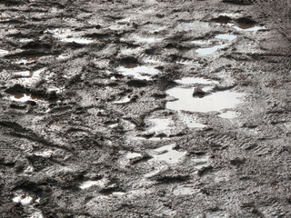 雨上がりのぬかるみ