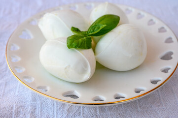 Fresh soft white italian cheese mozzarella buffalo made from Italian buffalo's milk by pasta filata method