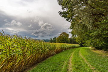 Wonderful, sunny autumn hike in Upper Swabia near Wilhelmsdorf near Lake Constance