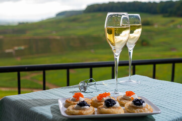 Tasting and pairing of french champagne wine with pancakes, creme fresh, red and black fish caviar and view on green vineyards of Champagne near Epernay on background