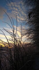 Obraz premium Freezing rain