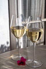 Tasting of local white wine on sunny summer balcony Provence, France