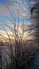 Obraz premium Freezing rain
