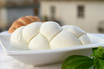 Fresh soft white italian cheese braid mozzarella buffalo made from Italian buffalo's milk by pasta filata method