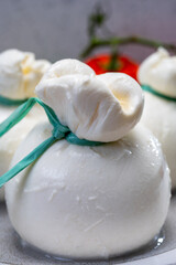 Cheese collection, fresh soft Italian cheese from Puglia, white balls of burrata or burratina cheese made from mozzarella and cream filling