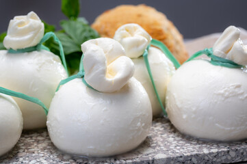 Cheese collection, fresh soft Italian cheese from Puglia, white balls of burrata or burratina cheese made from mozzarella and cream filling