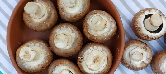 Mushrooms with brown caps in a ceramic plate on a light tablecloth.