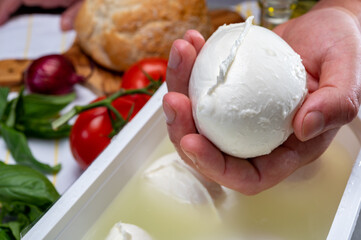 Cheese maker holding in hand fresh handmade soft Italian cheese from Campania, white balls of buffalo mozzarella cheese made from cow milk in container with water