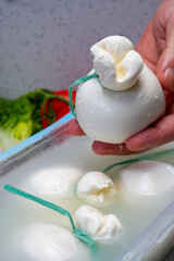 Cheese maker holds in hand fresh soft Italian cheese from Puglia, white balls of burrata or burratina cheese made from mozzarella and cream filling