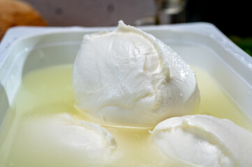 Cheese shop, fresh handmade soft Italian cheese from Campania, white balls of buffalo mozzarella cheese made from cow milk in container with water