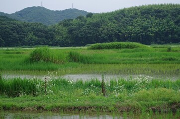 大小の丘が連続する岡山平野（その２）