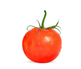 ripe and juicy tomato on a white background