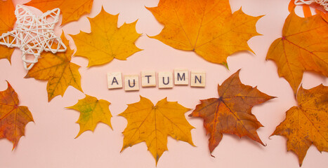 autumn greeting card, maple leaf frame with the word autumn.