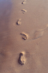 Fototapeta na wymiar Footprints of bare human feet on wet sand near the water's edge