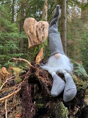 Wichtel im Oberbergischen Land - Herbst