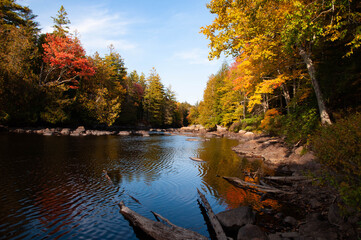 Fall colors on the Raquette River