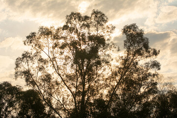 atardecer