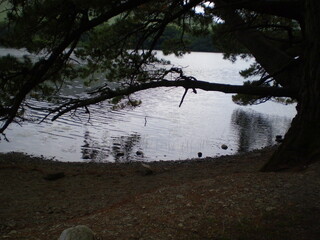 Scenic view of irish landscape