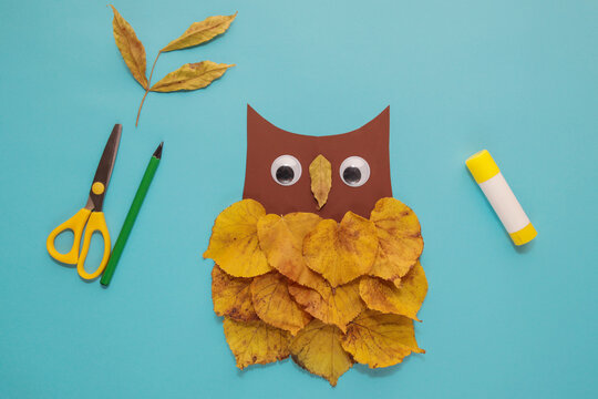dry leaves applique art autumn. little child making autumn decoration "Owl" from leaves. Children's art project. DIY concept. Step-by-step photo instruction. Step 5 - Powered by Adobe