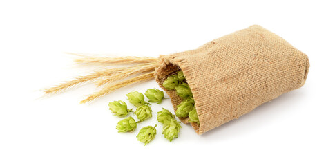 Fototapeta na wymiar Hops with barley in a bag.