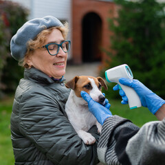 The veterinarian measures the temperature of the dog with a non-contact infrared thermometer...