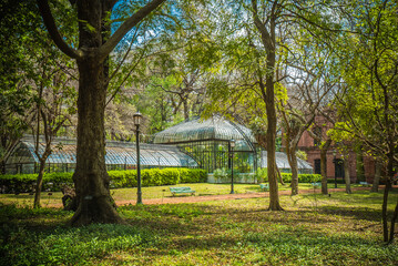 glass greenhouse in a summer park