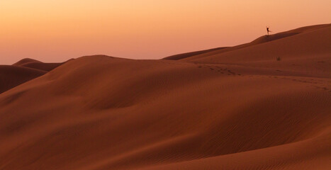 Ballet in the desert at sunset