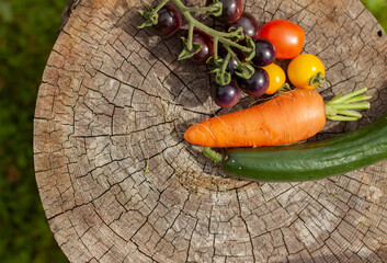 Rare black tomatoes, carrot, cucumber, fresh vegetables close up on wooden board