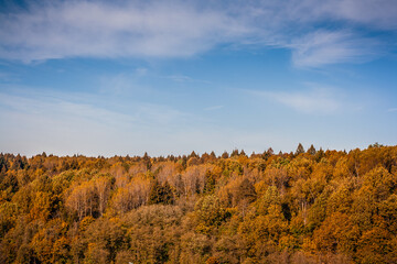Colorful autumn landscape with trees and clear blue sky. The bright orange and brown colors of autumn