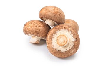 Tasty mushroom isolated on white background.