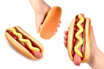 Hot dog isolated on white background. Copy space.