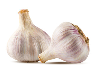 Garlics isolated on white background