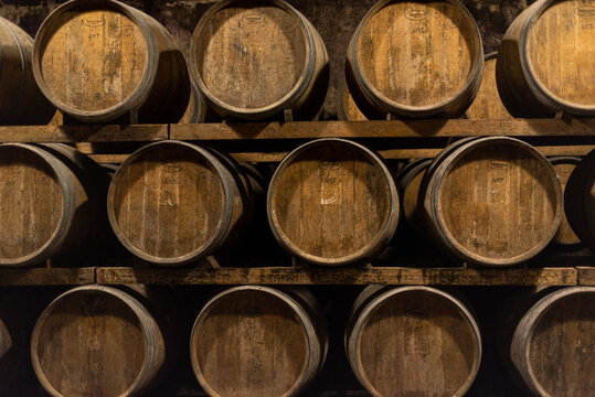 Wooden barrels for wine aging in the cellar. Italian wine.