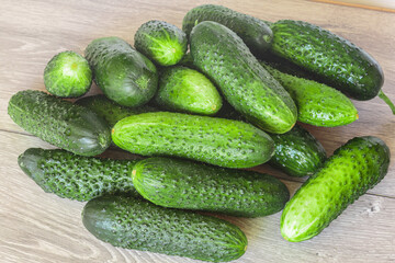 Heap of fresh cucumbers from the Farmers Market.