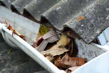 A close-up on a clogged rain gutter by fallen leaves, dirt, lichen and moss from asbestos roof what...