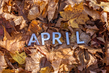 the word april laid with silver metal letters on the ground dry maple leaves