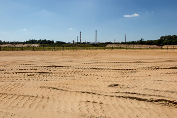 afforestation of the former sand mine