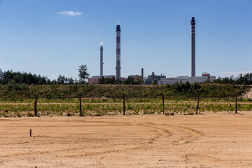 afforestation of the former sand mine