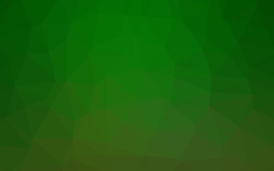 Light Green vector low poly layout.