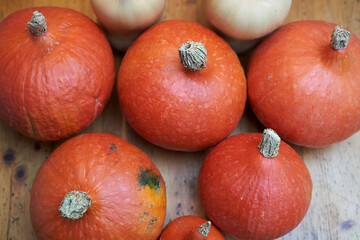 freshly harvested pile of red kuri squashes and butternut squashes on a rustic wooden table