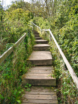 Near Ravenscar on the Cleveland Way National Trail, wooden steps take walkers up a hillside
